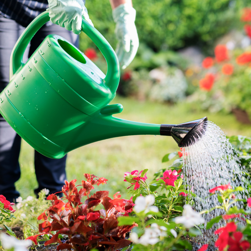 A water can which is sparkling the water to the plants !
